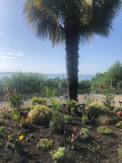 1-Bedroom Seaview Guesthouse On Seattle Luxury Estate With Views Of Olympic Mountains Luaran gambar